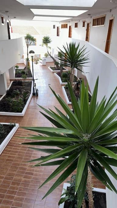 Ferienwohnung Modern,Strandnaehe, Club Olympus, Garten City Tenerife Playa Feñabe Zewnętrze zdjęcie